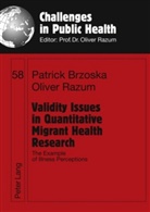 Patrick Brzoska, Oliver Razum - Validity Issues in Quantitative Migrant Health Research
