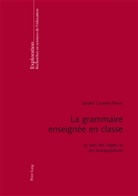 Sandra Canelas Trévisi, Sandra Canelas-Trevisi - La grammaire enseignée en classe