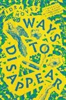 Idra Novey, Novey Idra - Ways to Disappear