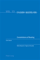 Carlo Salzani - Constellations of Reading
