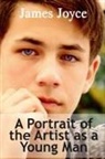 James Joyce - A Portrait of the Artist as a Young Man