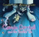 Conelia Funke, Cornelia Funke, Monica Armino - Gawain Greytail and the Terrible Tab