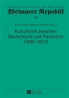 Olivier Agard, Barbara Beßlich - Kulturkritik zwischen Deutschland und Frankreich (1890-1933)