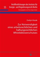 Evelyn Kozak, F J Säcker, F. J. Säcker - Zur Notwendigkeit eines arbeitsrechtlichen und haftungsrechtlichen Whistleblowerschutzes