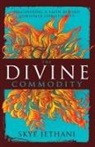 Skye Jethani, Zondervan, Zondervan, Zondervan Publishing - The Divine Commodity
