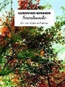 Ludovico Einaudi - Sarabande: Violin and Piano