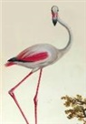 Aubriet -C, Aubriet-C - Carnet blanc, flamant rose