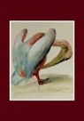 Aubriet -C, Aubriet-C - Carnet blanc, pelican