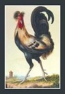 Aubriet -C, Aubriet-C - Carnet ligne, coq