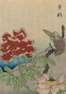 Eibun -s, Eibun-S - Carnet ligne, oiseaux etrangers
