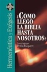 Zondervan, Zondervan - ¿Cómo llegó la Biblia hasta nosotros?