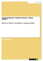 Andreas Förster, Haka Sanlier, Hakan Sanlier, Hennin Wenzel, Henning Wenzel - Boon or bane? Germany's energy policy