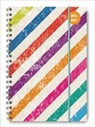 ALPHA EDITION - Collegetimer A5 Colour Stripes 2016/2017 - Ringbuch
