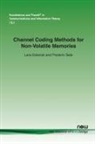 Lara Dolecek, Frederic Sala - Channel Coding Methods for Non-Volatile Memories