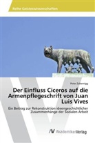 Peter Zabernigg - Der Einfluss Ciceros auf die Armenpflegeschrift von Juan Luis Vives