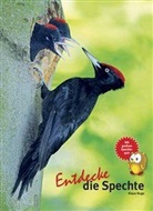 Klaus Ruge, Klaus (Dr.) Ruge - Entdecke die Spechte