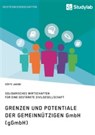 Dörte Jacobi - Grenzen und Potenziale der gemeinnützigen GmbH (gGmbH)
