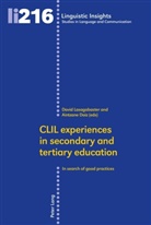 Aintzan Doiz, Aintzane Doiz, Maurizio Gotti, Lasagabaster, Lasagabaster, David Lasagabaster - CLIL experiences in secondary and tertiary education