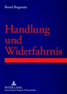 Bernd Birgmeier, Bernd R Birgmeier, Bernd R. Birgmeier - Handlung und Widerfahrnis