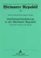 Manfred Gangl, Gérard Raulet - Intellektuellendiskurse in der Weimarer Republik
