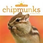 Lindsy O'Brien, Lindsy J. O'Brien - Chipmunks