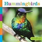 Quinn M Arnold, Quinn M. Arnold - Hummingbirds