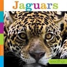 Quinn M Arnold, Quinn M. Arnold - Jaguars