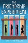 Erin Teagan - The Friendship Experiment