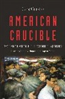 Gary Gerstle, Professor Gary Gerstle - American Crucible
