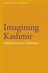 Patrick Colm Hogan - Imagining Kashmir