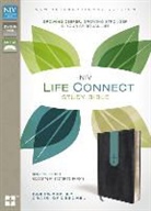 Wayne Cordeiro, Wayne (EDT)/ Groeschel Cordeiro, Zondervan, Wayne Cordeiro, Zondervan Bibles - NIV LifeConnect Study Bible