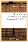 Alexandre Lallemand, Lallemand-A - Recherches sur l illumination des
