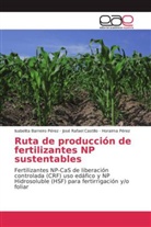 Isabelit Barreiro Pérez, Isabelita Barreiro Pérez, José Rafae Castillo, José Rafael Castillo, Pé, Horaima Pérez - Ruta de producción de fertilizantes NP sustentables