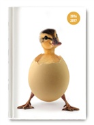 ALPHA EDITION - Collegetimer A6 day by day Chick 2016/2017