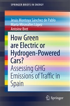 Antoine Bret, Miravalles López, María Miravalles López, Jesú Montoya Sánchez de Pablo, Jesus Montoya Sánchez de Pablo, Jesús Montoya Sánchez de Pablo - How Green are Electric or Hydrogen-Powered Cars?