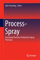 Ud Fritsching, Udo Fritsching - Process-Spray