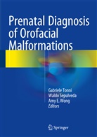 Amy E Wong, Wald Sepulveda, Waldo Sepulveda, Gabriele Tonni, Amy E. Wong - Prenatal Diagnosis of Orofacial Malformations