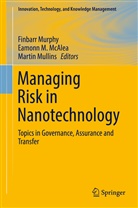 Eamon M McAlea, Eamonn M McAlea, Eamonn M. McAlea, Martin Mullins, Finbarr Murphy - Managing Risk in Nanotechnology