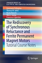 Nic Bianchi, Nicola Bianchi, Francesco Cupertino, Thomas Jahns, Thomas M Jahns, Thomas M. Jahns... - The Rediscovery of Synchronous Reluctance and Ferrite Permanent Magnet Motors