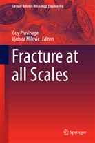 Milovic, Milovic, Ljubica Milovic, Gu Pluvinage, Guy Pluvinage - Fracture at all Scales