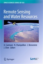 J. Benveniste, J Benveniste et al, A. Cazenave, Champollion, N Champollion, N. Champollion... - Remote Sensing and Water Resources