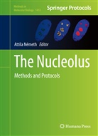 Attila Nemeth, Attil Németh, Attila Németh - The Nucleolus