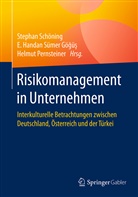Handan S. Gögüs, Handan Sümer Gögüs, E Handan Sümer Gögüs, Helmut Pernsteiner, Stephan Schöning, E. Handan Sümer Gö¿ü¿... - Risikomanagement in Unternehmen