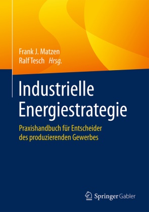 Fran J Matzen, Frank J Matzen, Frank J. Matzen, Tesch, Tesch, … - Industrielle Energiestrategie Praxishandbuch für Entscheider des produzierenden Gewerbes