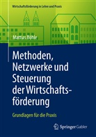 Mattias Böhle - Methoden, Netzwerke und Steuerung der Wirtschaftsförderung; .