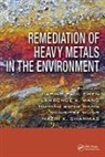 Jiaping Paul (National University of Singapo Chen, Jiaping Paul Wang Chen, Jiaping Paul Chen, Jiaping Paul (National University of Singapore) Chen, Chen Jiaping Paul, Yung-Tse Hung... - Remediation of Heavy Metals in the Environment