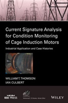 Ian Culbert, Ian (Iris Power Engineering) Thomson Culbert, Culbert Ian, William Thomson, William T Thomson, William T. Thomson... - Current Signature Analysis for Condition Monitoring of Cage
