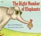 Jeff Sheppard, Jeff/ Bond Sheppard, Felicia Bond, Jeff Sheppard - The Right Number of Elephants
