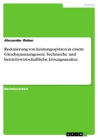 Alexander Weber - Reduzierung von Leistungsspitzen in einem Gleichspannungsnetz. Technische und betriebswirtschaftliche Lösungsansätze