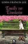 Linda Francis Lee - Emily Ve Einstein